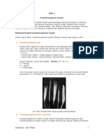 Biologi I1