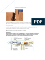 Motor Homopolar Casero