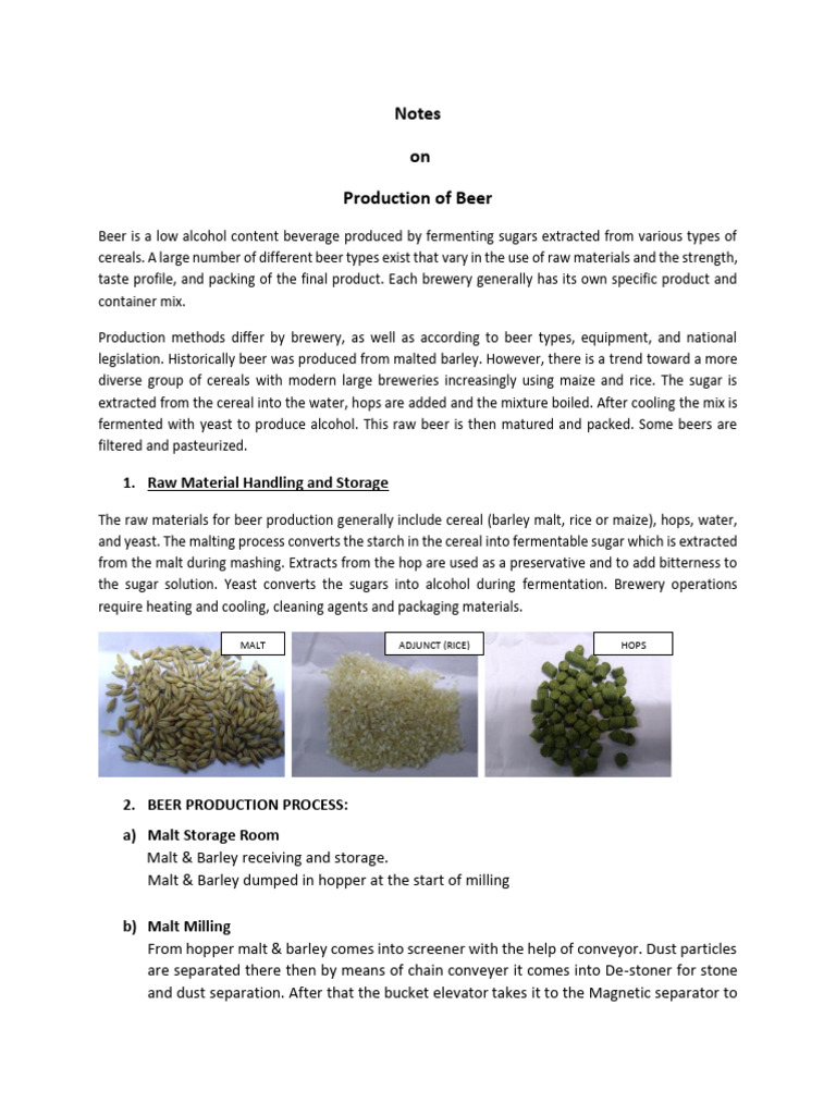Beer Production Process Overview | PDF | Brewing | Malt