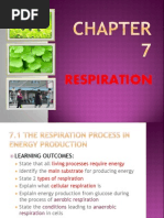 Download Respiration Chapter 7 Biology Form 4 by Faida Hamid SN75217422 doc pdf