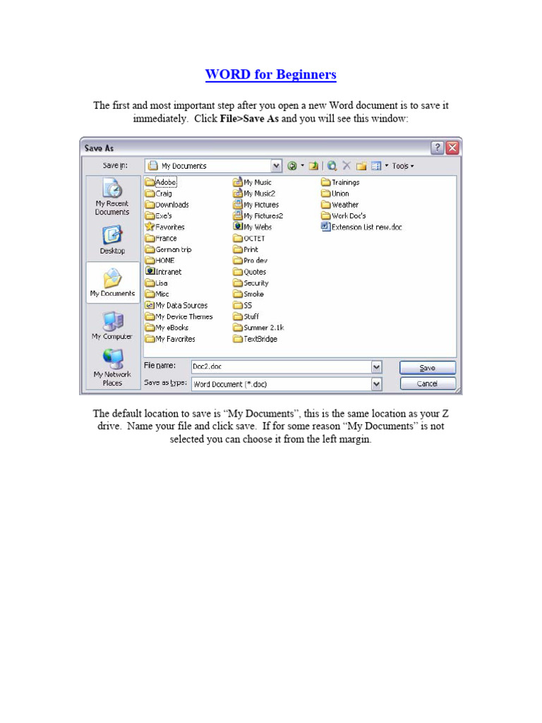 Word Document Basics for Beginners | PDF | Computers
