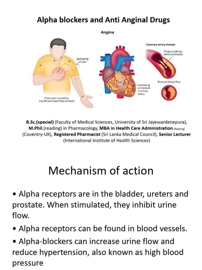 CVS Note 3 Alpha Blockers and Anti Anginal Drugs | PDF | Medical ...