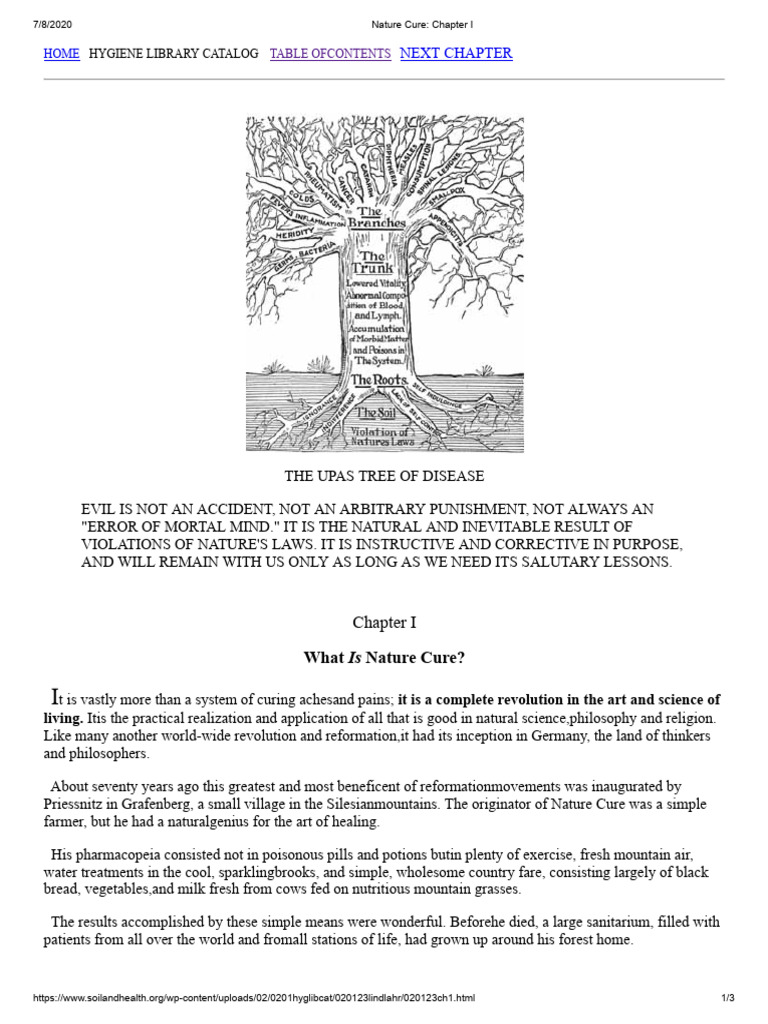 what-is-nature-cure-pdf