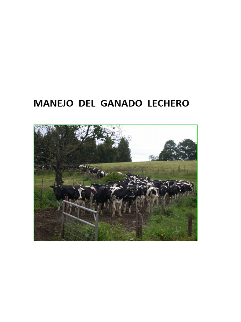 Manejo de La Vaca Lechera | PDF | Parto | Vacas