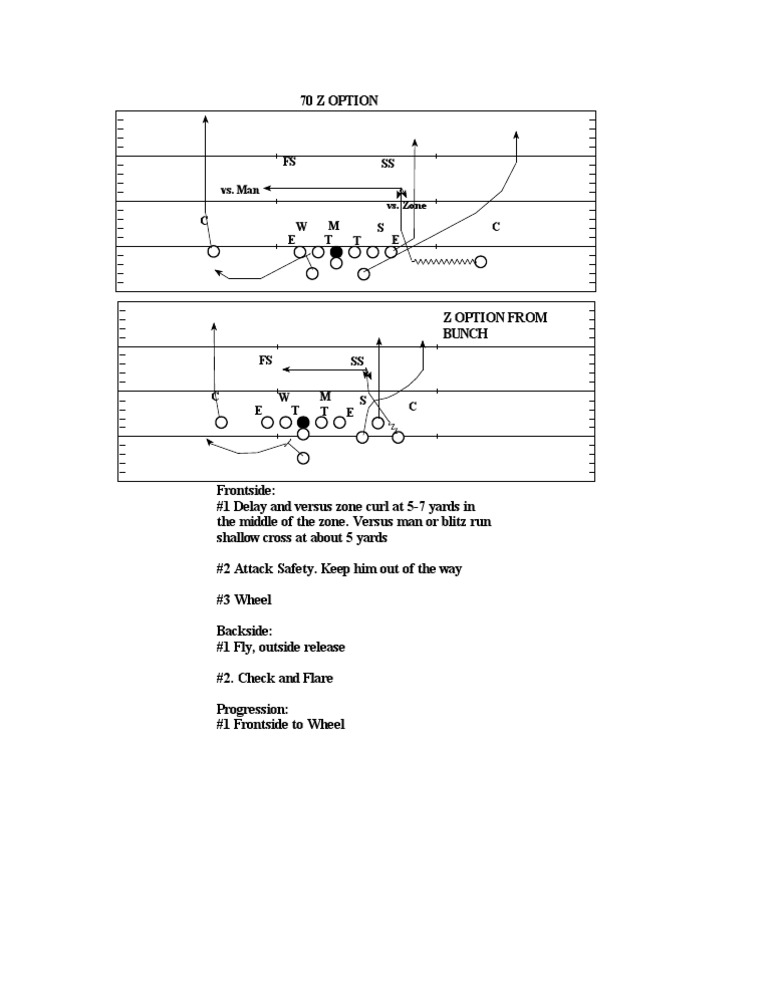 Z Option | PDF | History