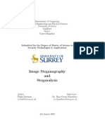 Image Steganography and Steganalysis