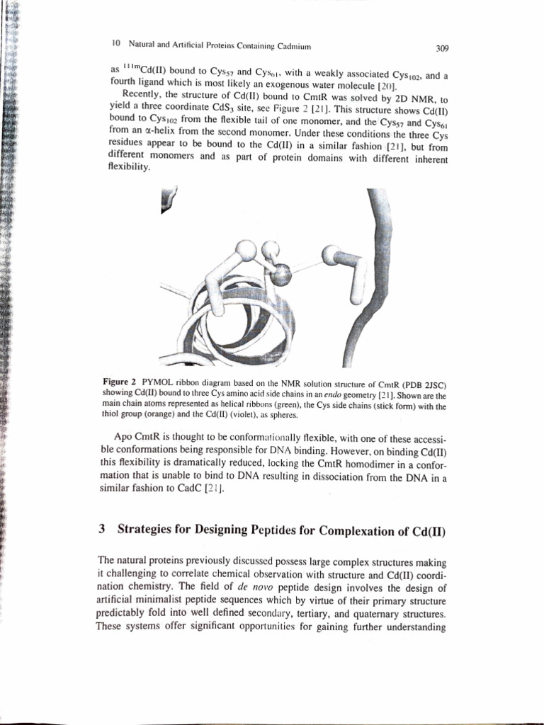 Strategies For Designing Peptides For Conplexation Od CDS (II) | PDF ...