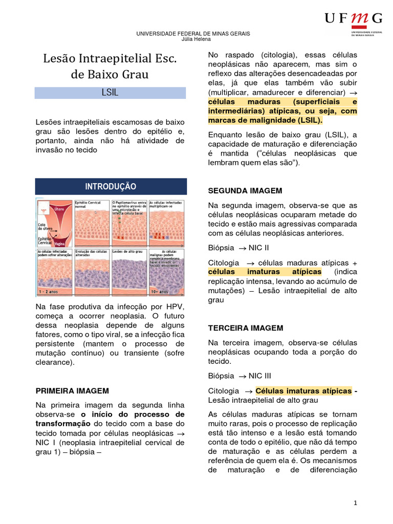 LSIL - Lesão Intraepitelial de Baixo Grau (Papanicolau) | PDF | Câncer ...