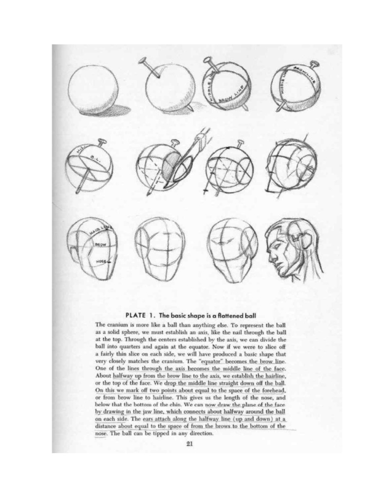 Metodo Loomies | PDF