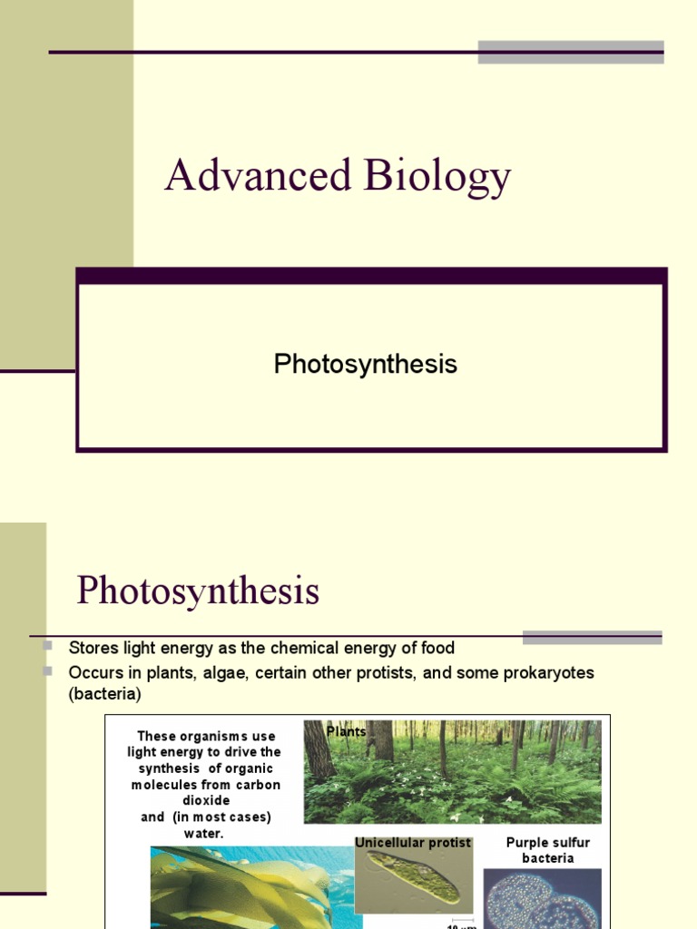 Advanced Biology: Photosynthesis | PDF | Photosynthesis | Chloroplast