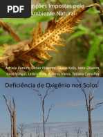 Sobrevivendo sob a deficiência de oxigênio