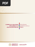 Programa Sintético Fase 2 Preescolar SEP | PDF | Educación de la ...