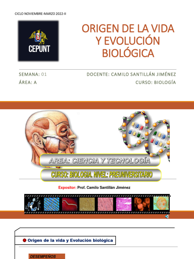 Origen y Evolución de la Vida | PDF | Evolución | Abiogénesis