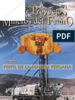 Demo Proyectos Mineros Del Futuro