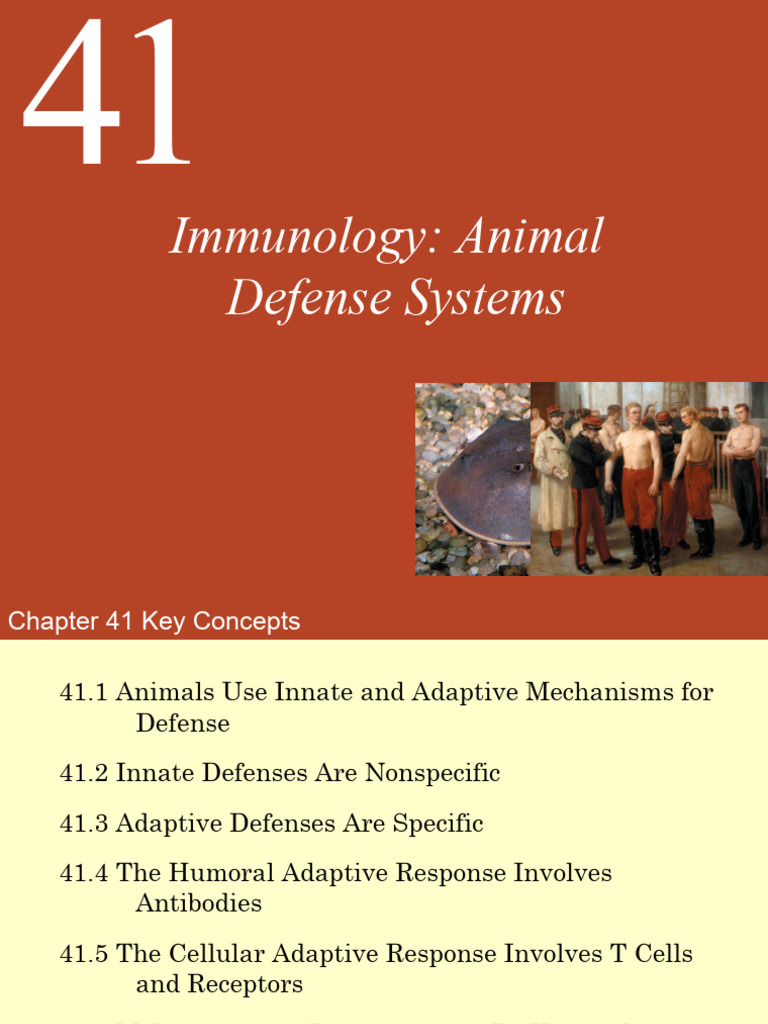 41 Immunology Pdf Adaptive Immune System Immune System