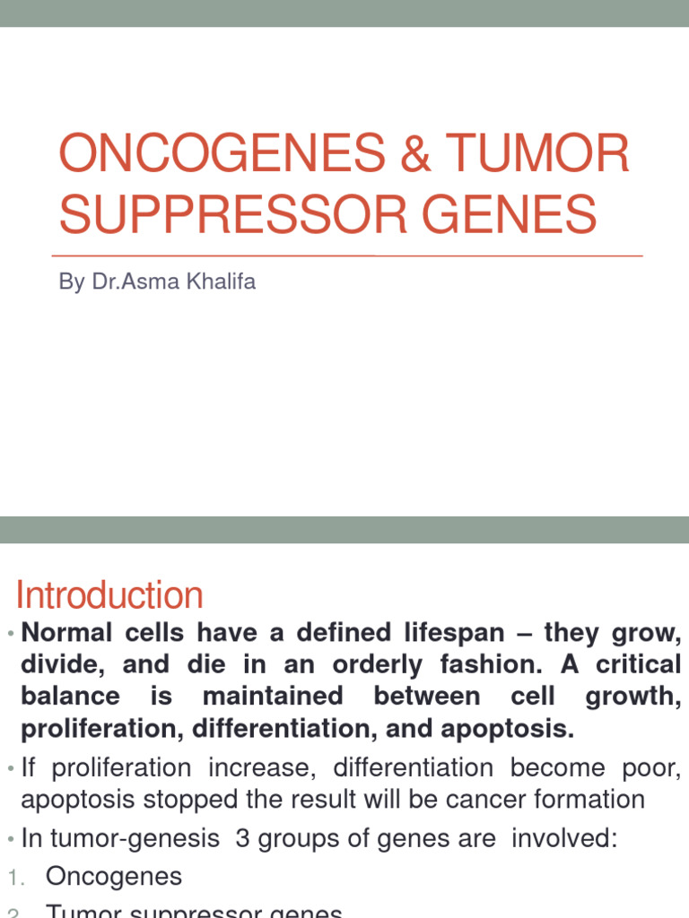 Oncogenes and Tumor Suppressor Genes | PDF | P53 | Oncogene