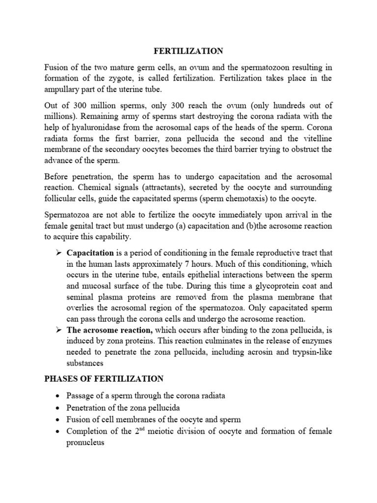 Understanding Human Fertilization Process | PDF | Fertilisation | In ...