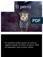 Reflexion El Perro