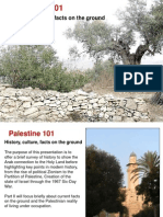 Palestine 101