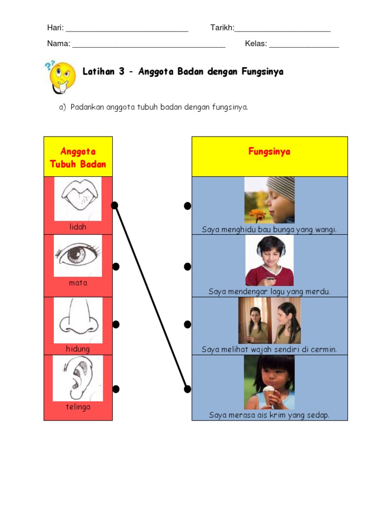 Padankan Anggota Tubuh Badan Dengan Fungsinya Pdf