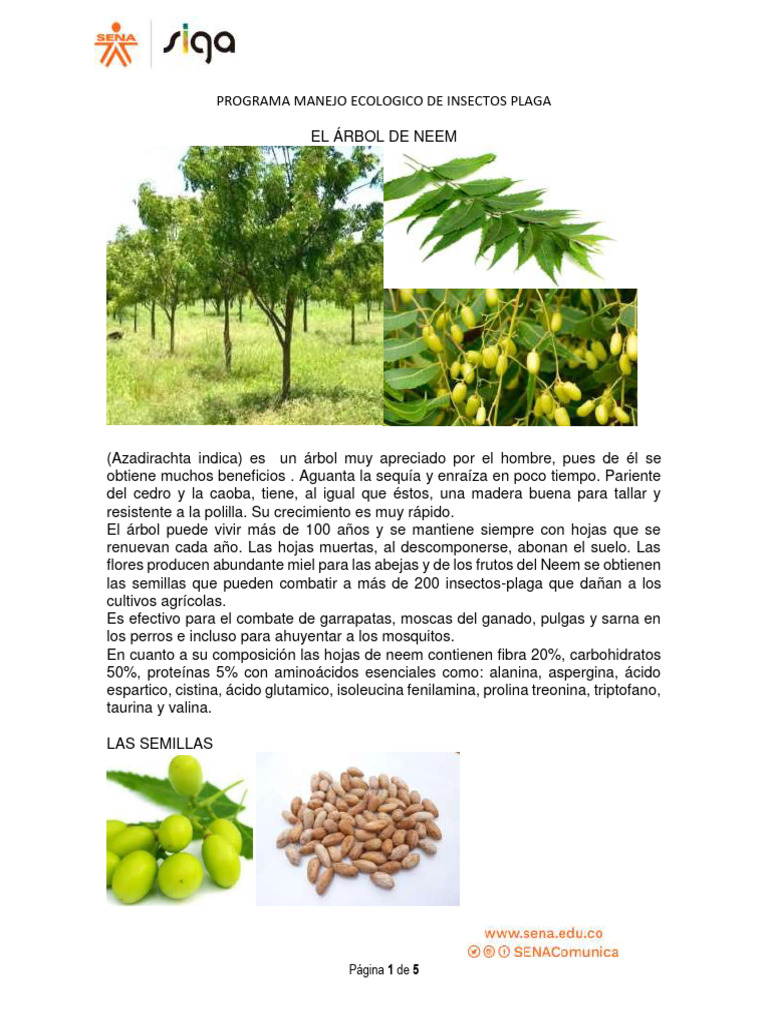 Arbol de Neem | PDF | Insectos | Plaga (organismo)