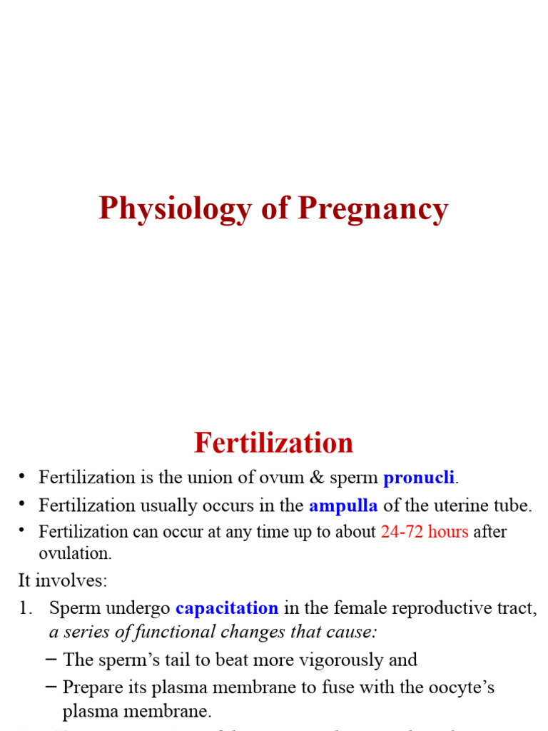 Pregnancy Physiology: Fertilization to Placenta | PDF | Placenta | Uterus