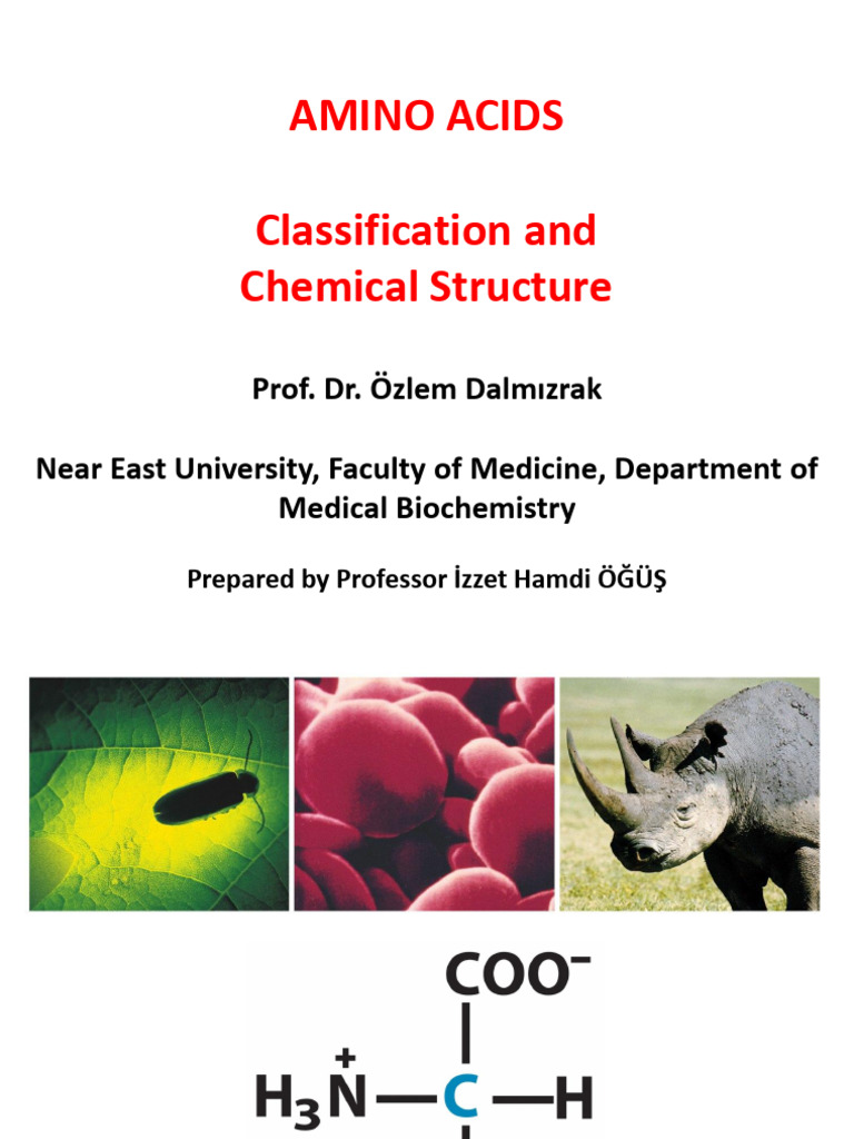 Amino Acids - Classification and Chemical Structures | PDF | Amino Acid ...