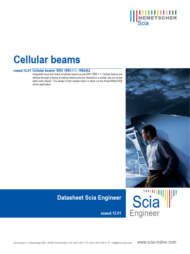 Esasd.12.01 - 2008 - EN Cellular Beams | PDF | Buckling | Beam (Structure)
