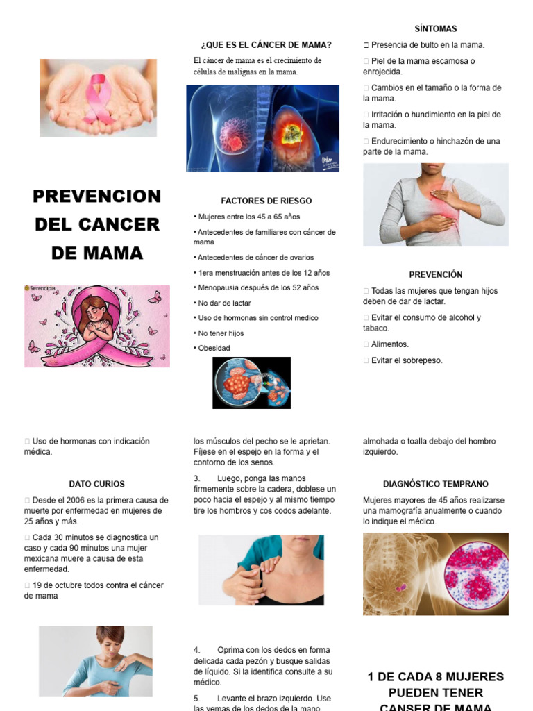 Prevención y Diagnóstico del Cáncer de Mama | PDF | Pecho | Cáncer de mama