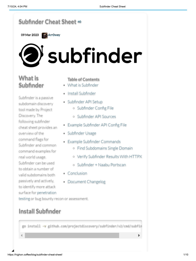Subfinder API Setup and Usage Guide | PDF | Domain Name System | Computing