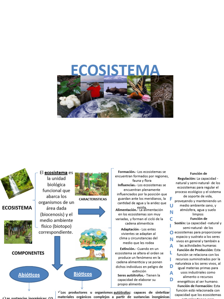 Componentes y funciones del ecosistema | PDF | Ecosistema | Organismos