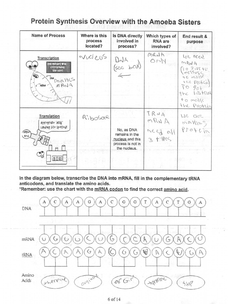 Biology pdf