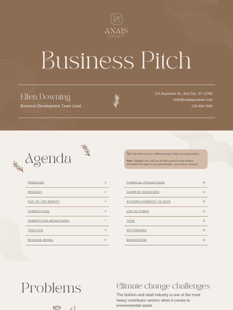 Anais Clothing Co. Business Pitch | PDF | Revenue