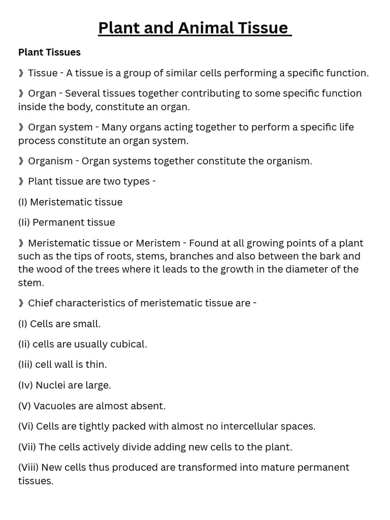 Plant and Animal Tissues 2 | PDF | Epithelium | Tissue (Biology)