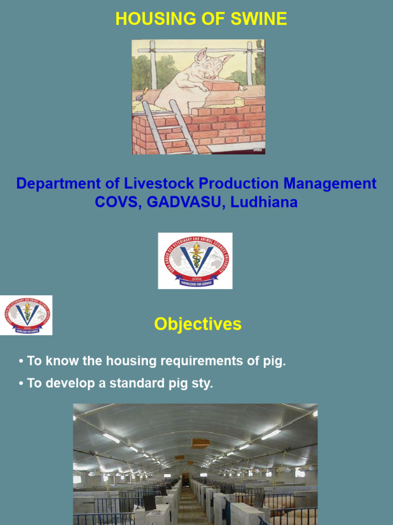 Modern Pig House Design Pdf
