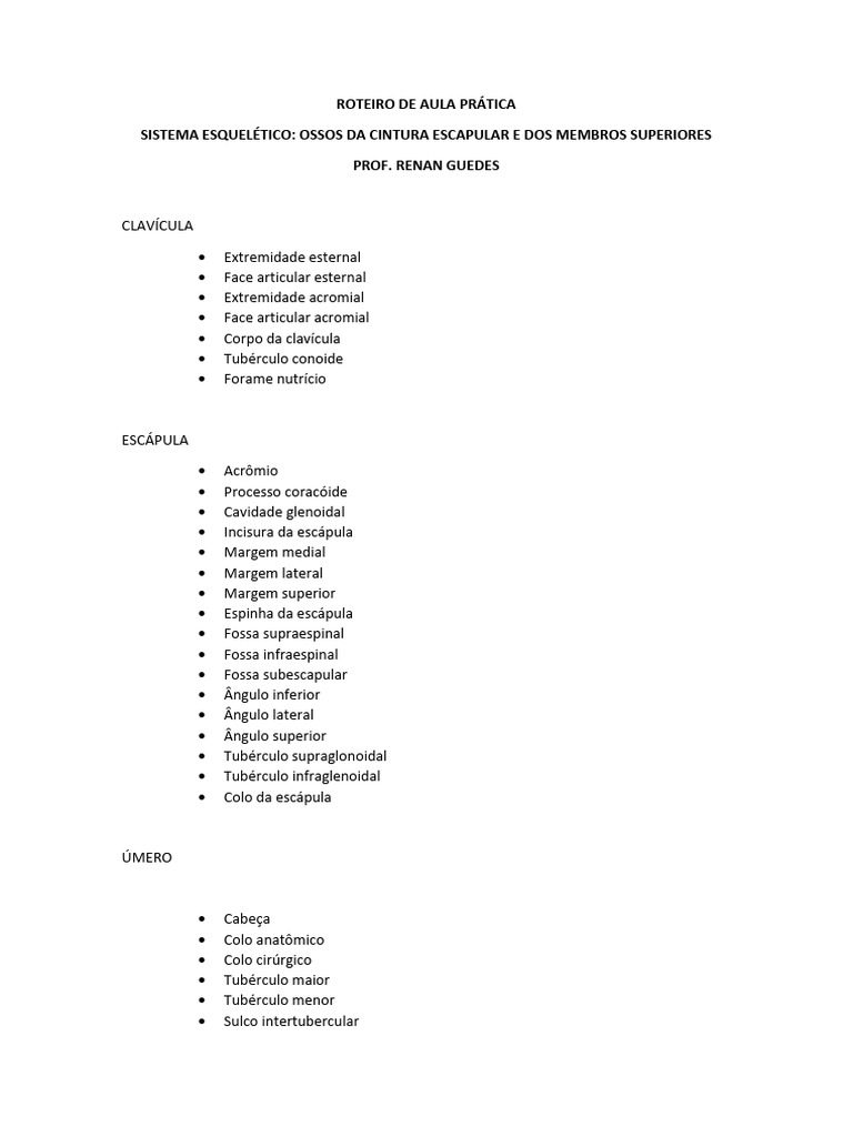 Aula 3 Ossos Dos Membros Superiores Pdf Membros Anatomia