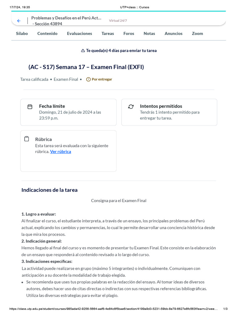 Examen Final: Ensayo sobre Perú Actual | PDF | Informática