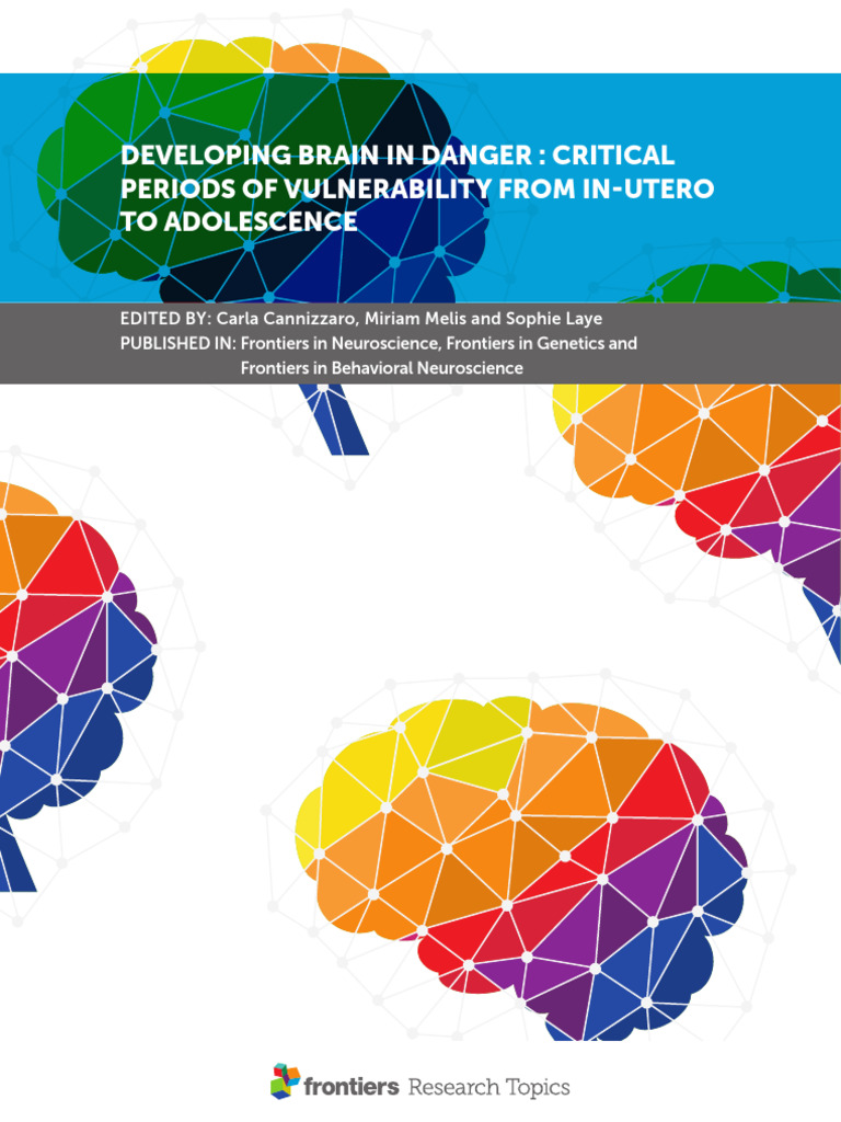 Developing Brain in Danger | PDF | Reactive Oxygen Species | Oxidative ...