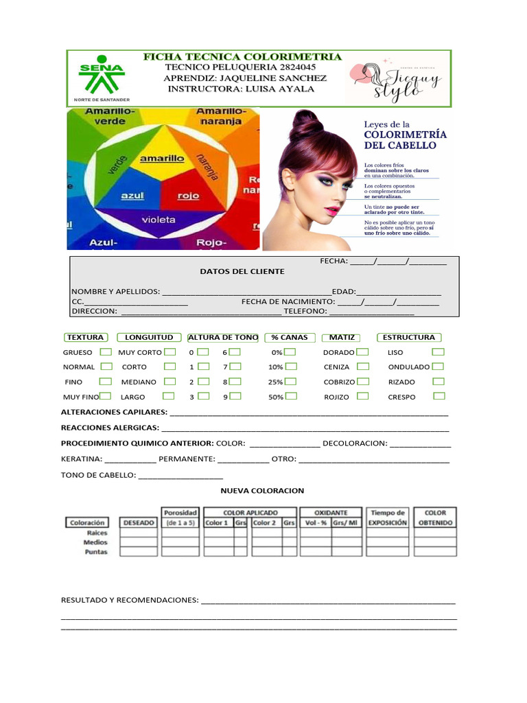 Protocolo de Colorimetría Capilar | PDF | Color | Matiz
