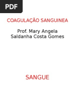 bioquimica coagulação sanguinea