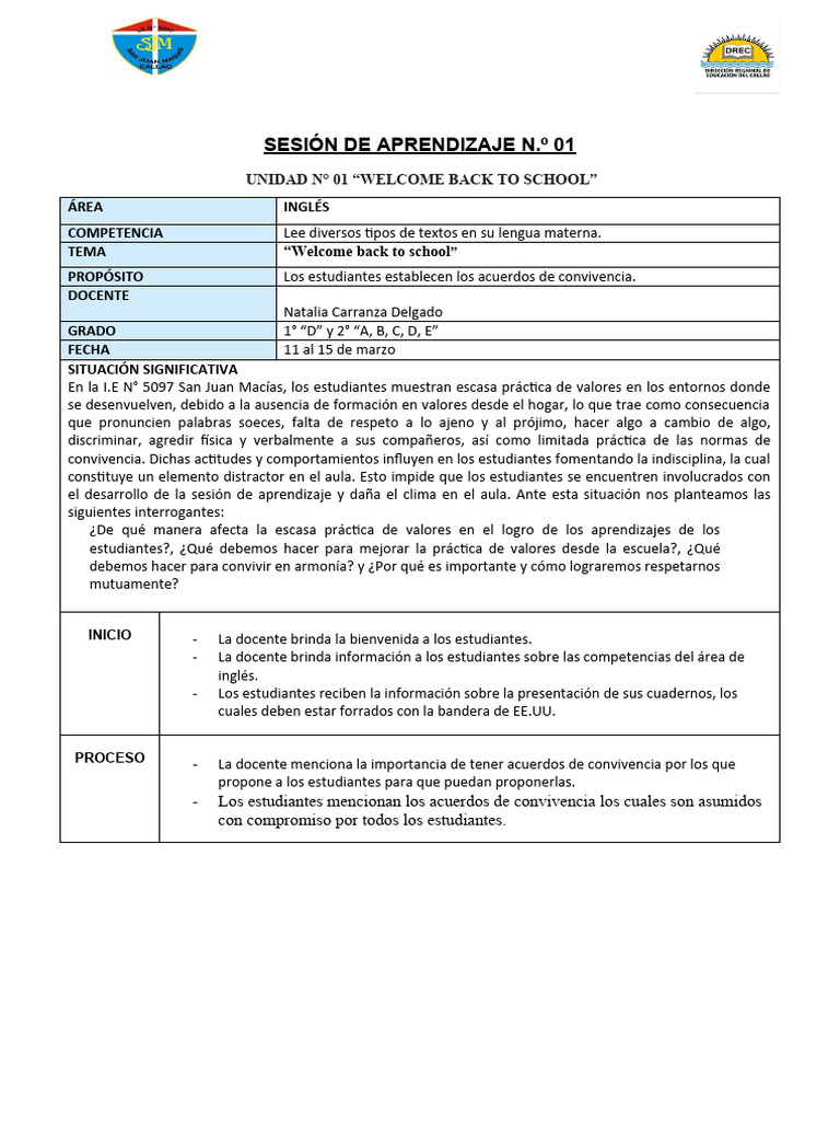 Unidad de Aprendizaje N 01 - 1ro y 2do | PDF | Aprendizaje | Cognición
