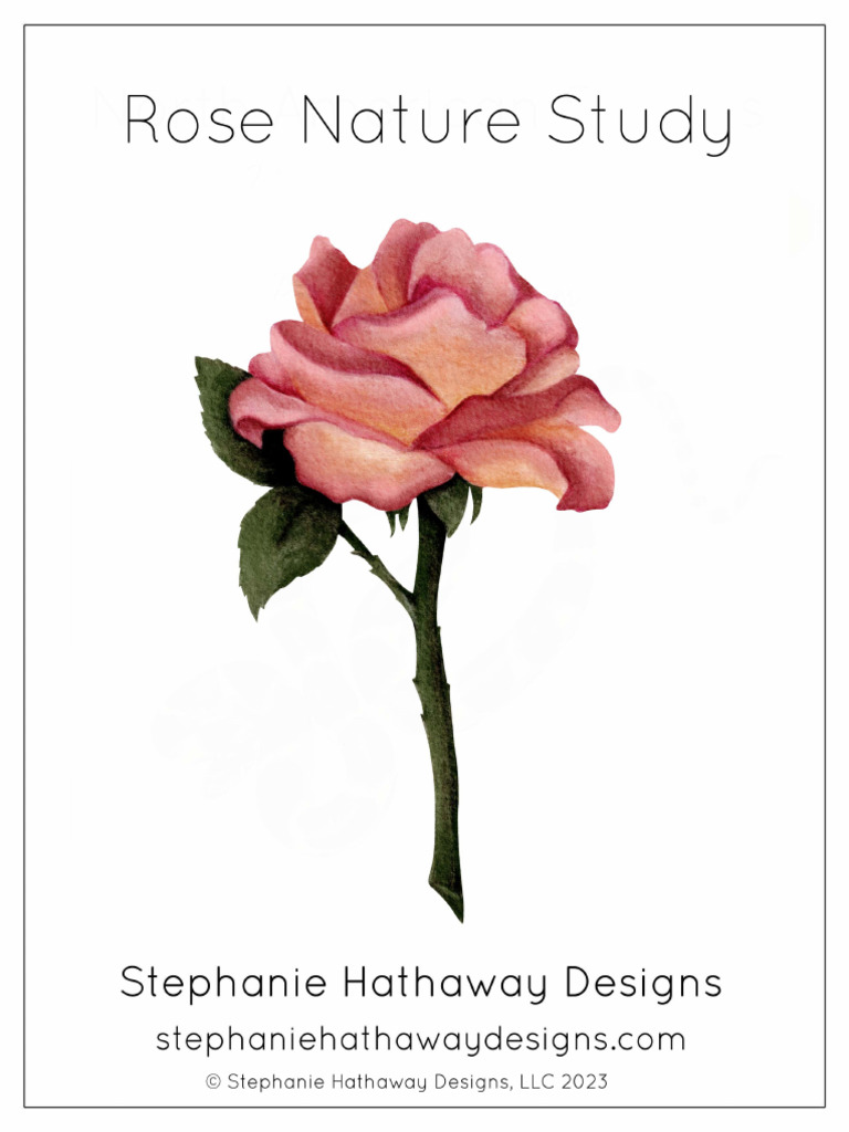Rose Mini Study | PDF