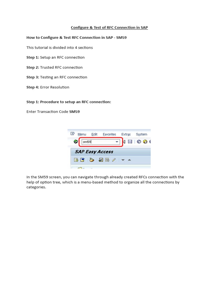 Configure and Test RFC in SAP | PDF | Login | Password