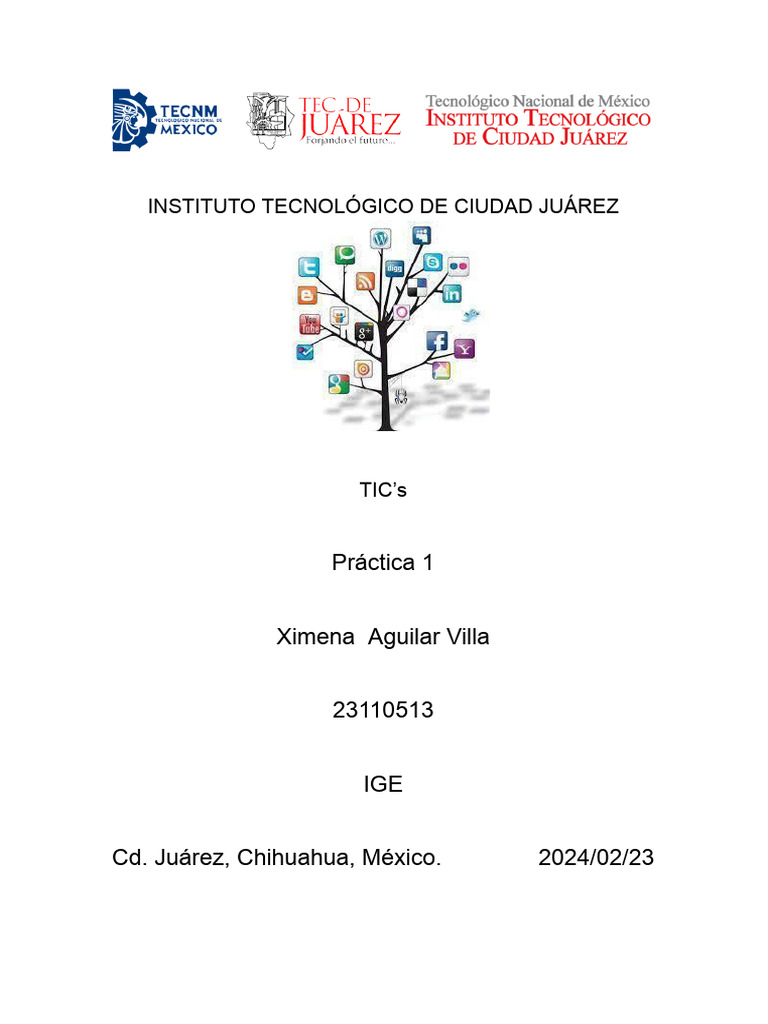Practica 1 | PDF | Tecnología de información y comunicaciones | Internet