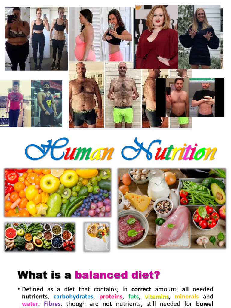 Understanding Human Nutrition Basics | PDF | Digestion | Stomach