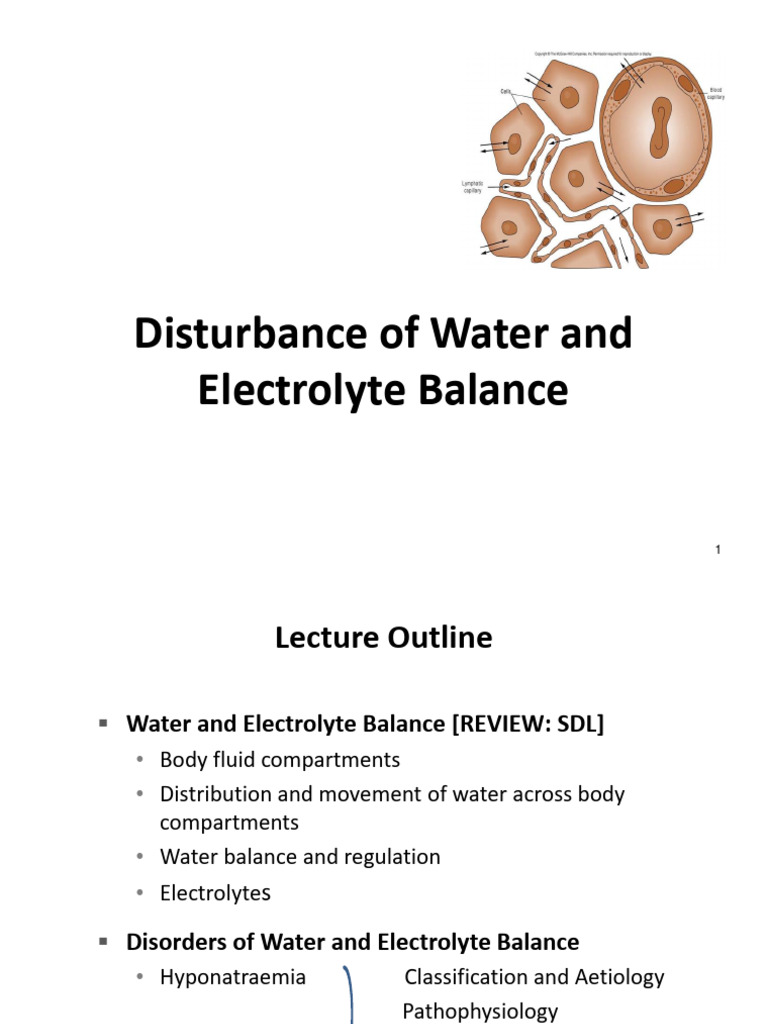 MBBS BLK 4 Lect Water Lytes - 2024 | PDF | Kidney | Physiology