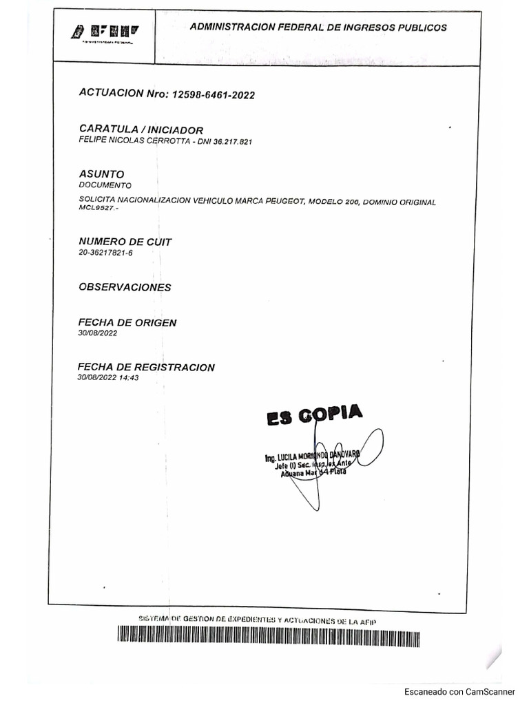 Carpeta AFIP Importación | PDF
