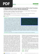 ASTALT 50.2017 Custom | PDF | Fuel Oil | Customs