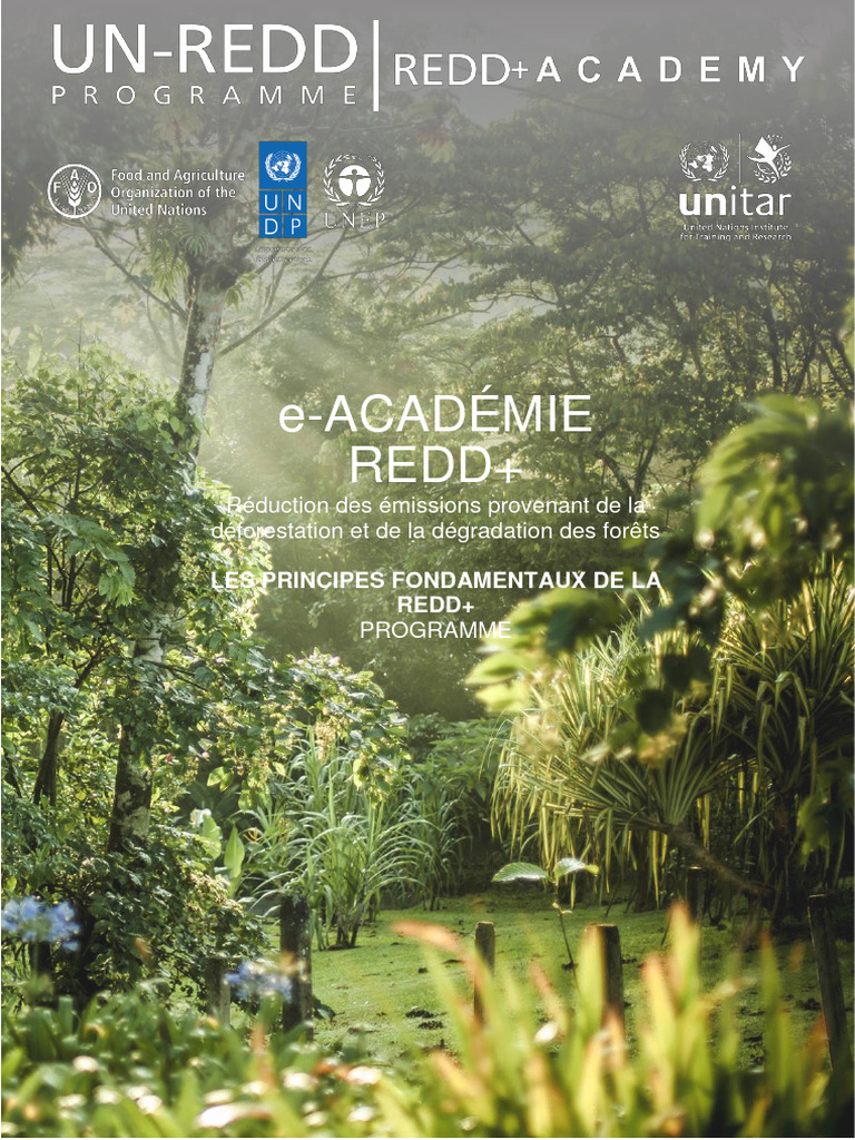 Principes fondamentaux de la REDD+ | PDF | Convention-cadre des Nations ...