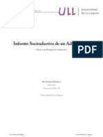 Informe Socioafectivo